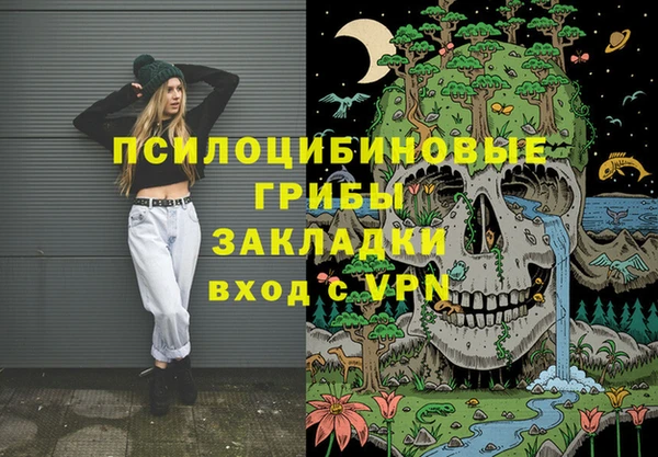 ешки Богородск