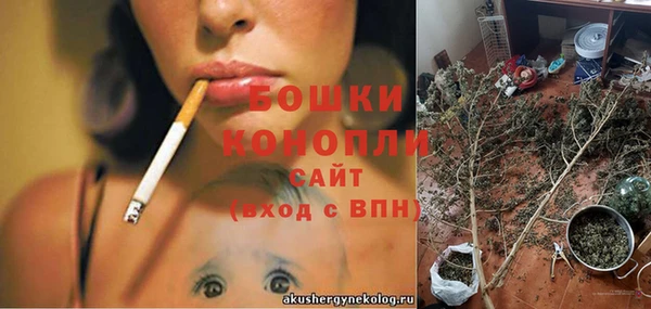молекула духа Туринск